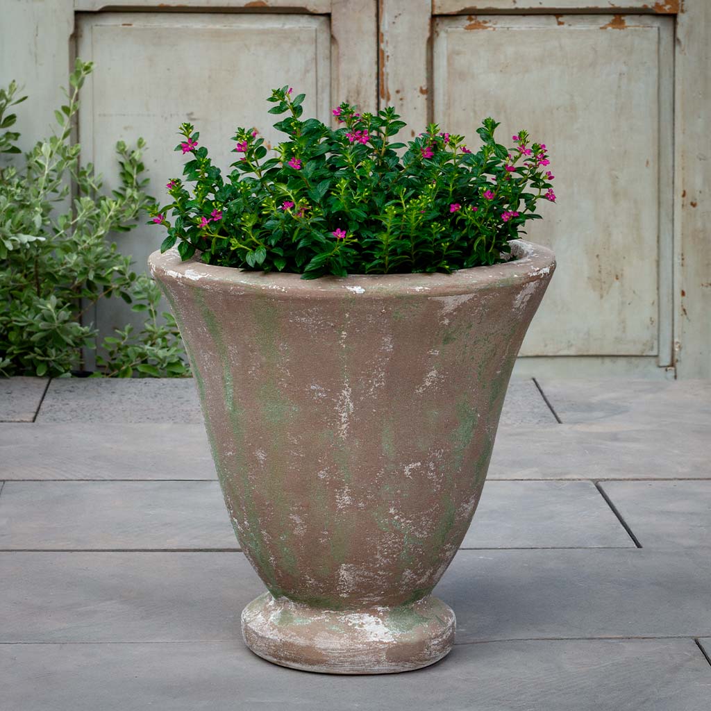 Caterine Urn (see color variant images) || Murano Fresco