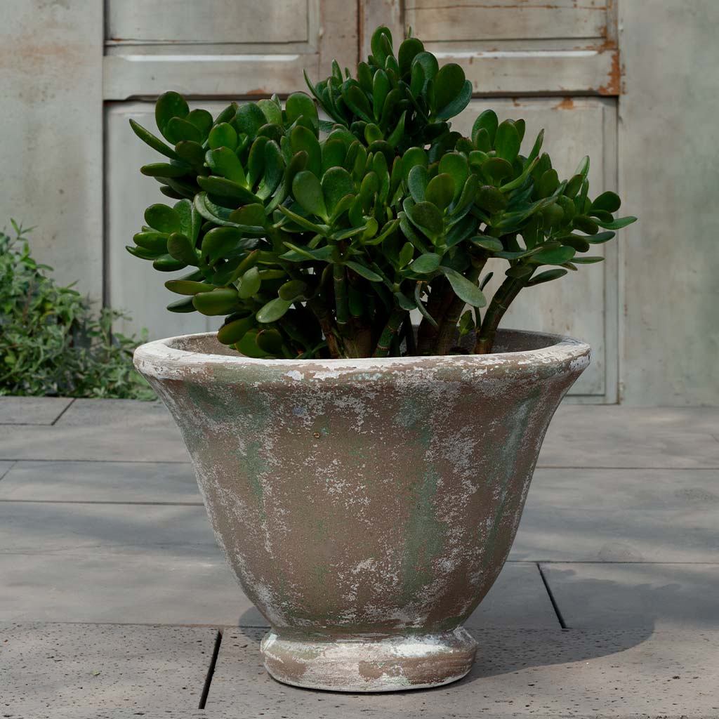 Jacqueline Urn (see color variant images) || Murano Fresco