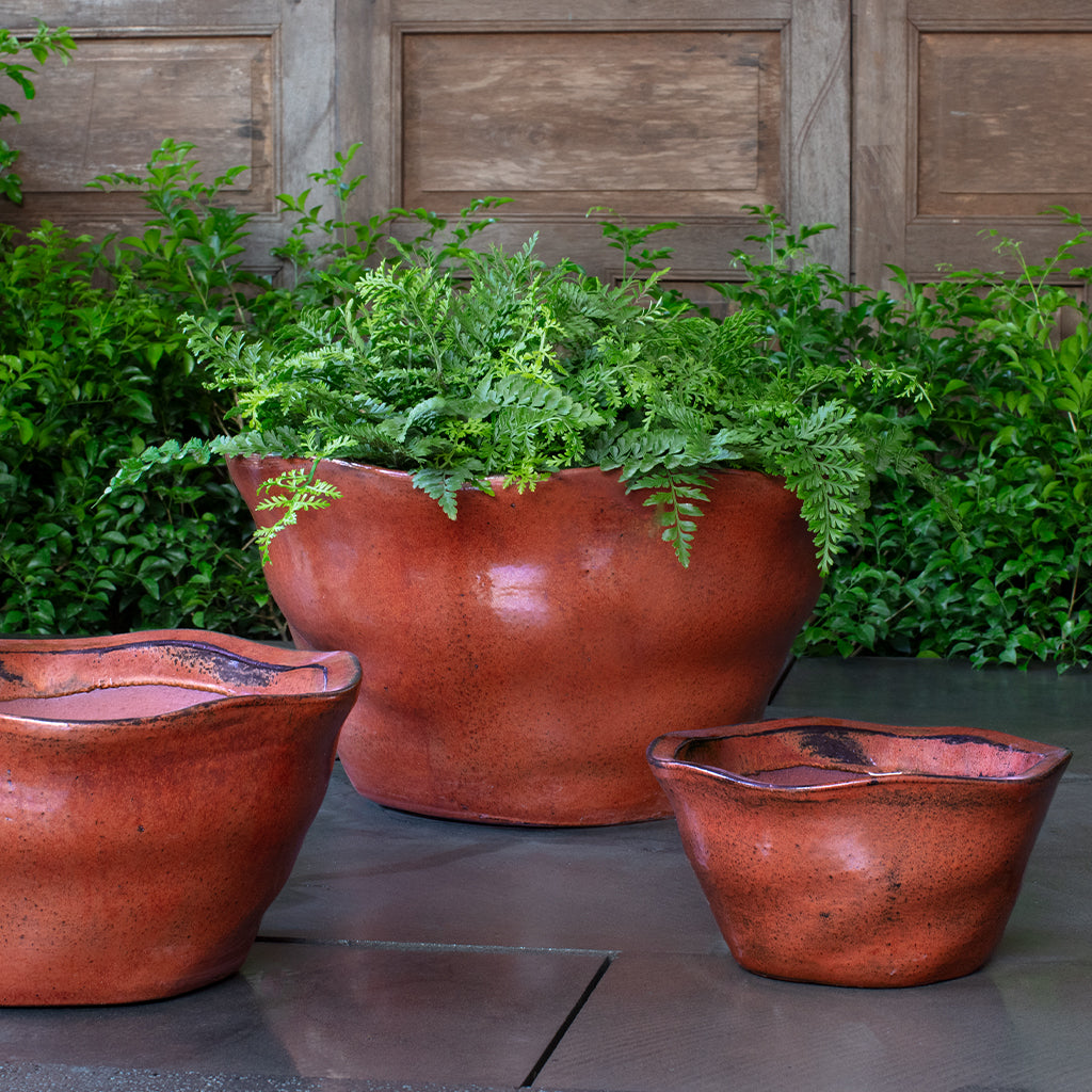 Foxglove Planter, Low || Brunello