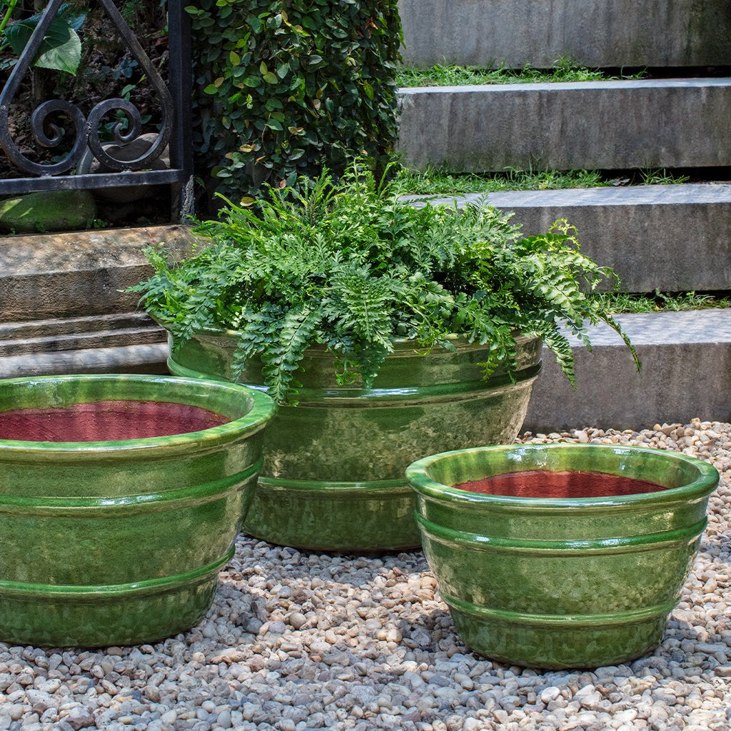 Mera Planter || Erin Green
