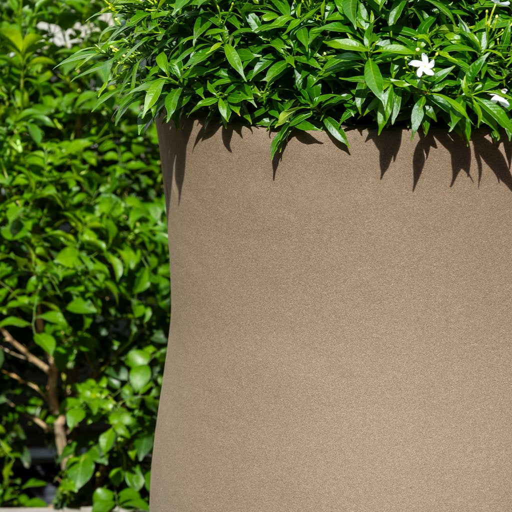Vigneto Planter || Dune