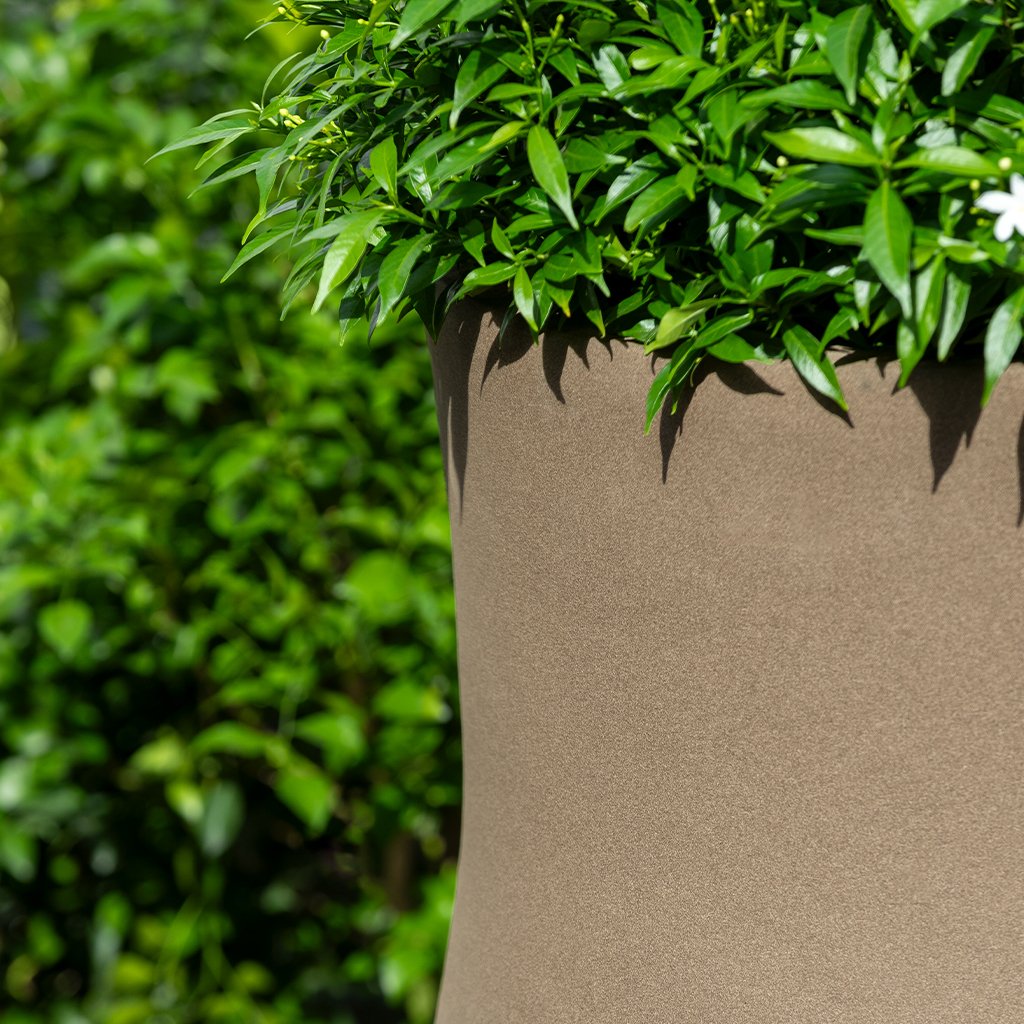 Vigneto Planter || Dune