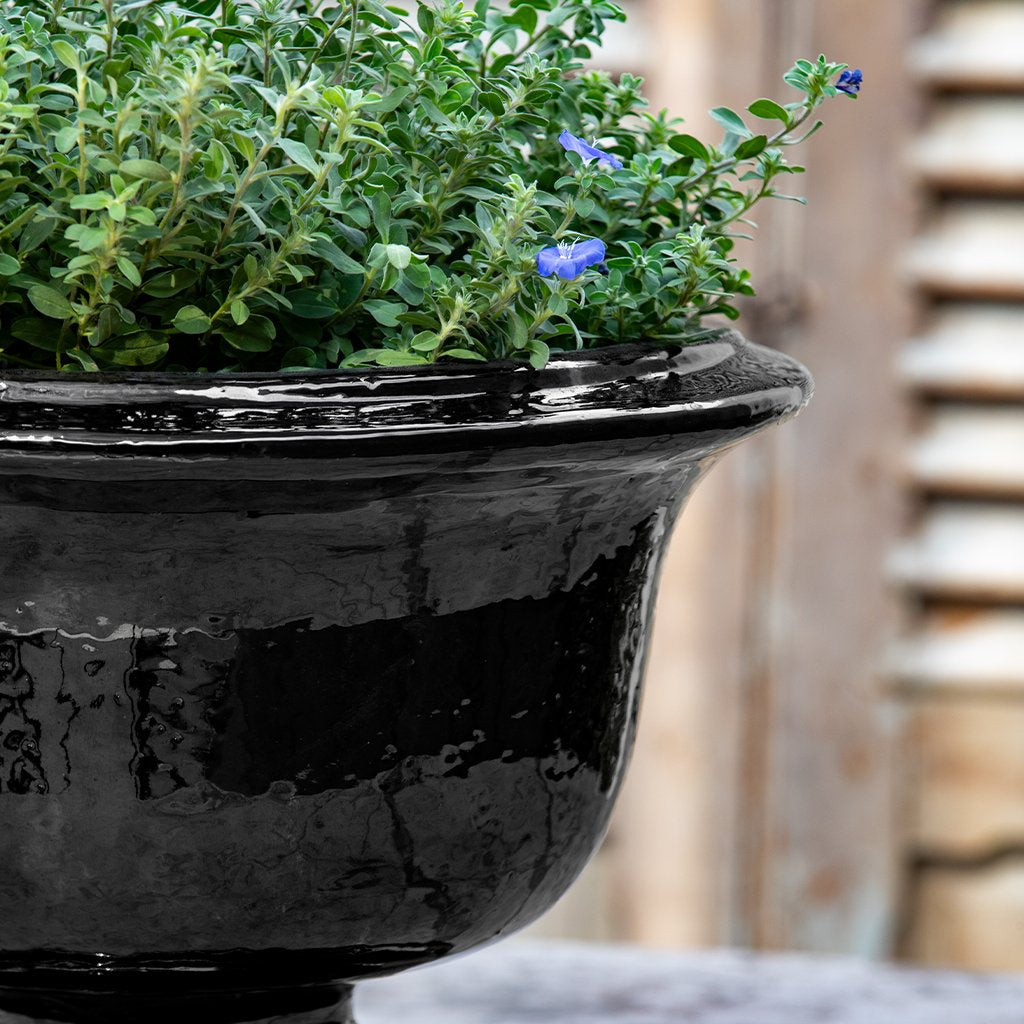 Margaux Urn || Obsidian