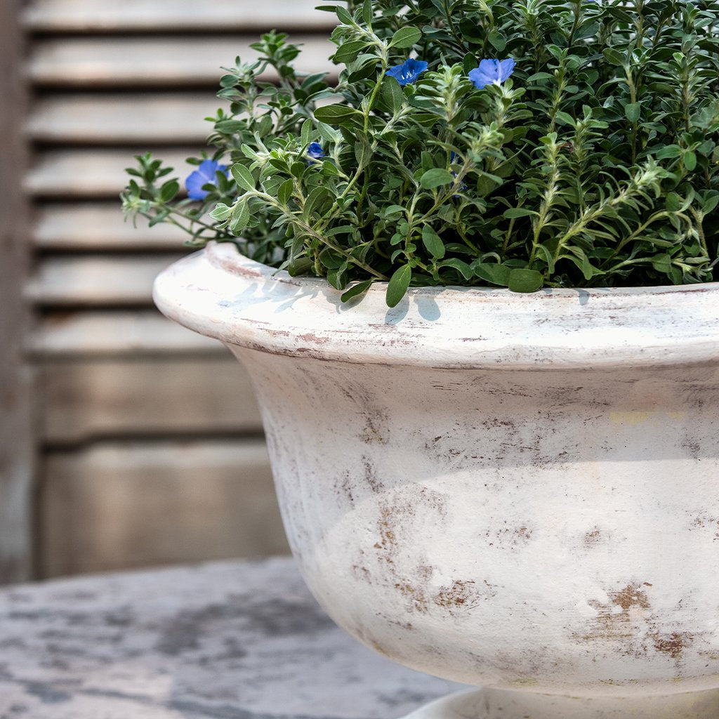 Margaux Urn || Whitewash