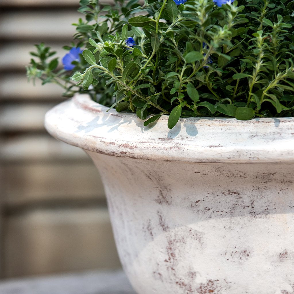 Margaux Urn || Whitewash