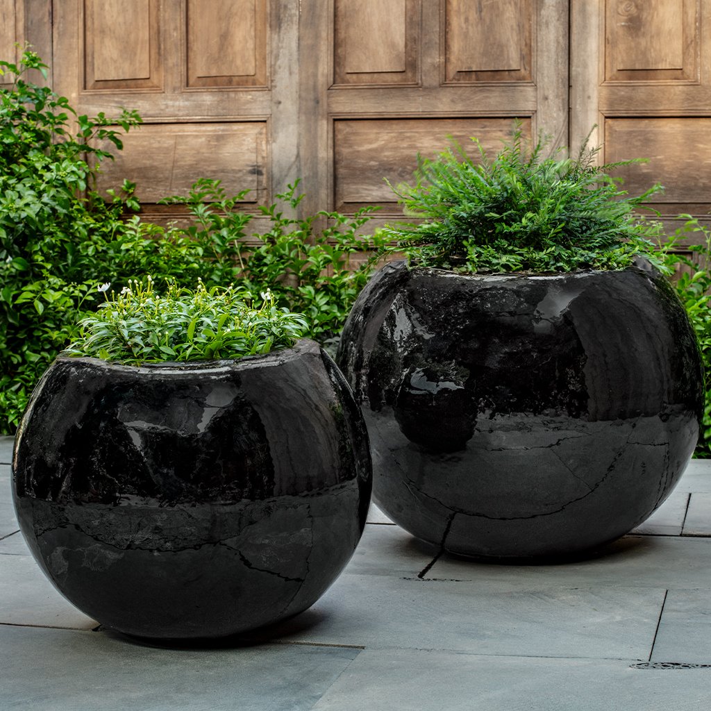 Le Petit Monde Planter || Obsidian
