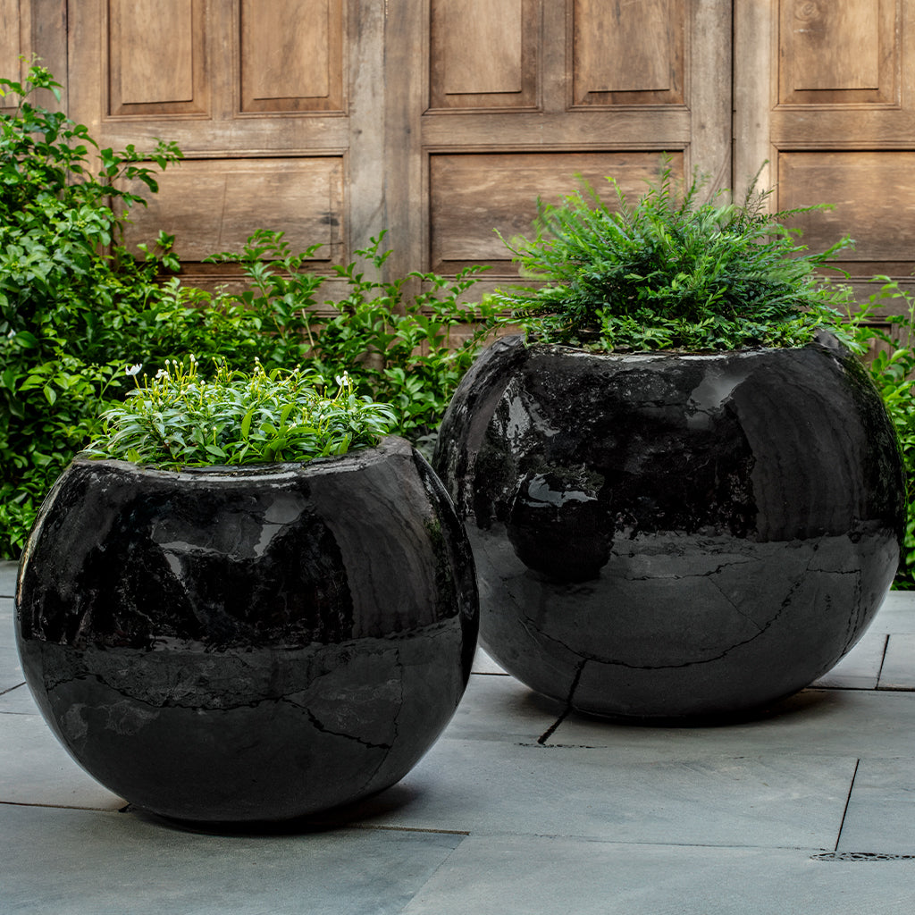 Le Petit Monde Planter || Obsidian