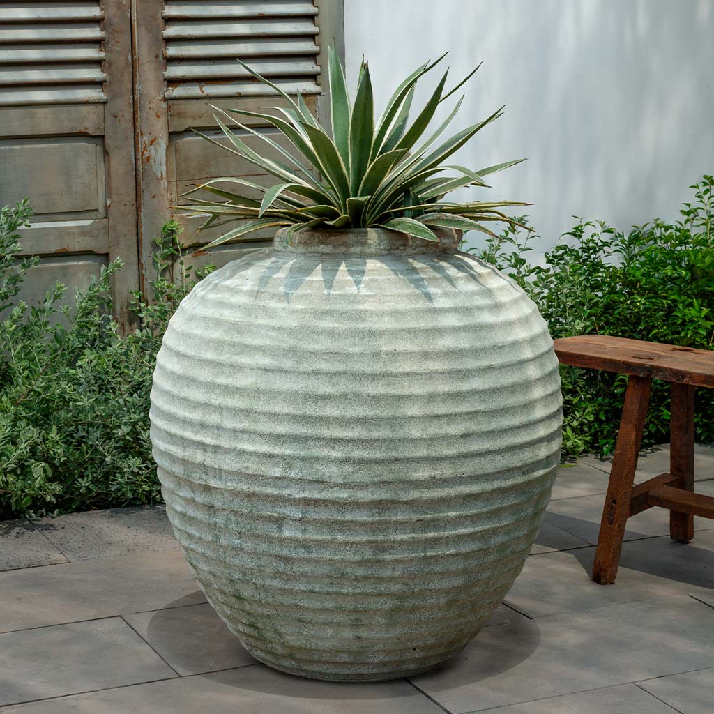 Delos Jar (see color variant images) || Murano Fresco