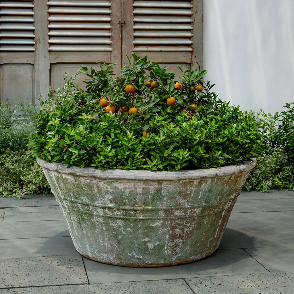 Venise Planter (see color variant images) || Murano Fresco