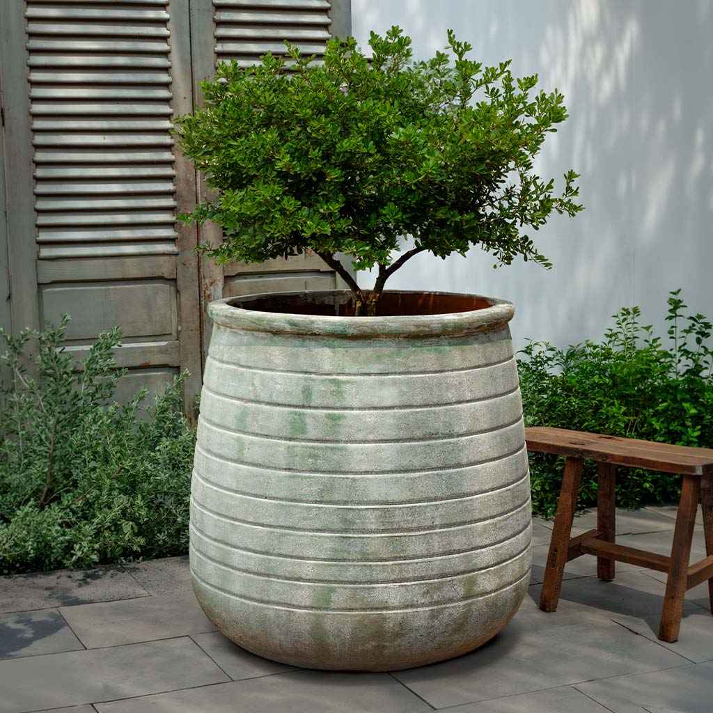 Ventoux Planter (see color variant images) || Murano Fresco