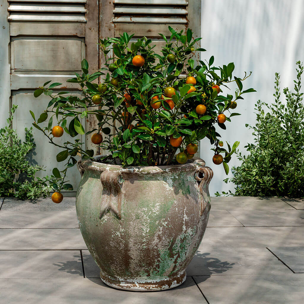 Round Handle Planter (see color variant images) || Murano Fresco