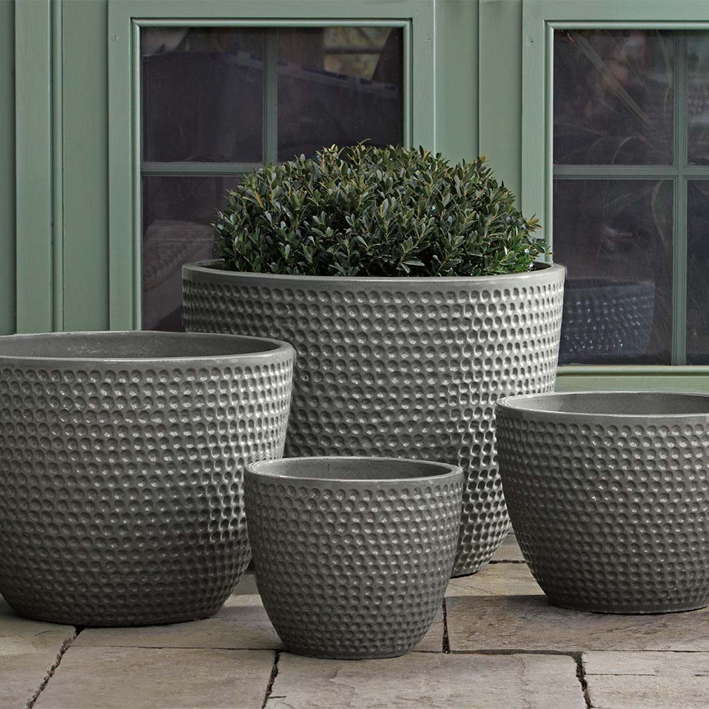 Coin Pot || Pewter Green