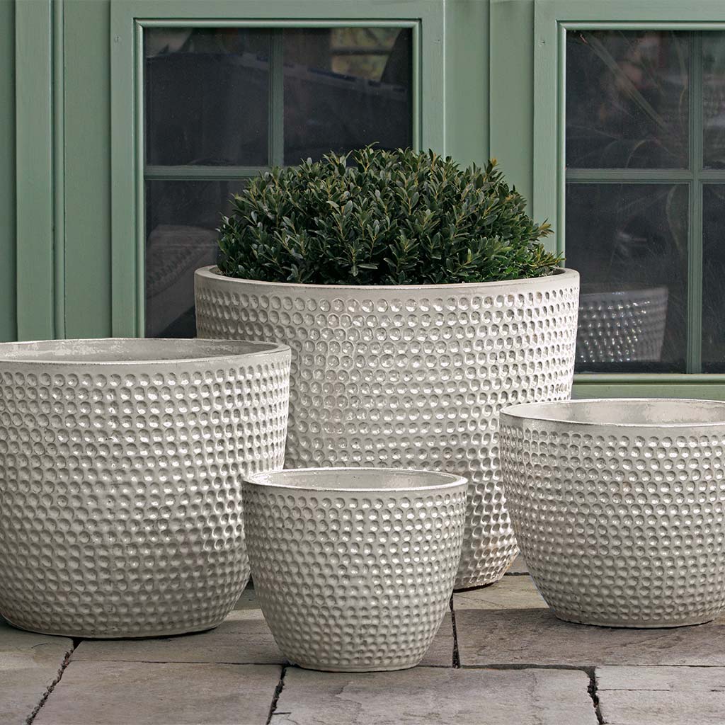 Coin Pot || Pearl