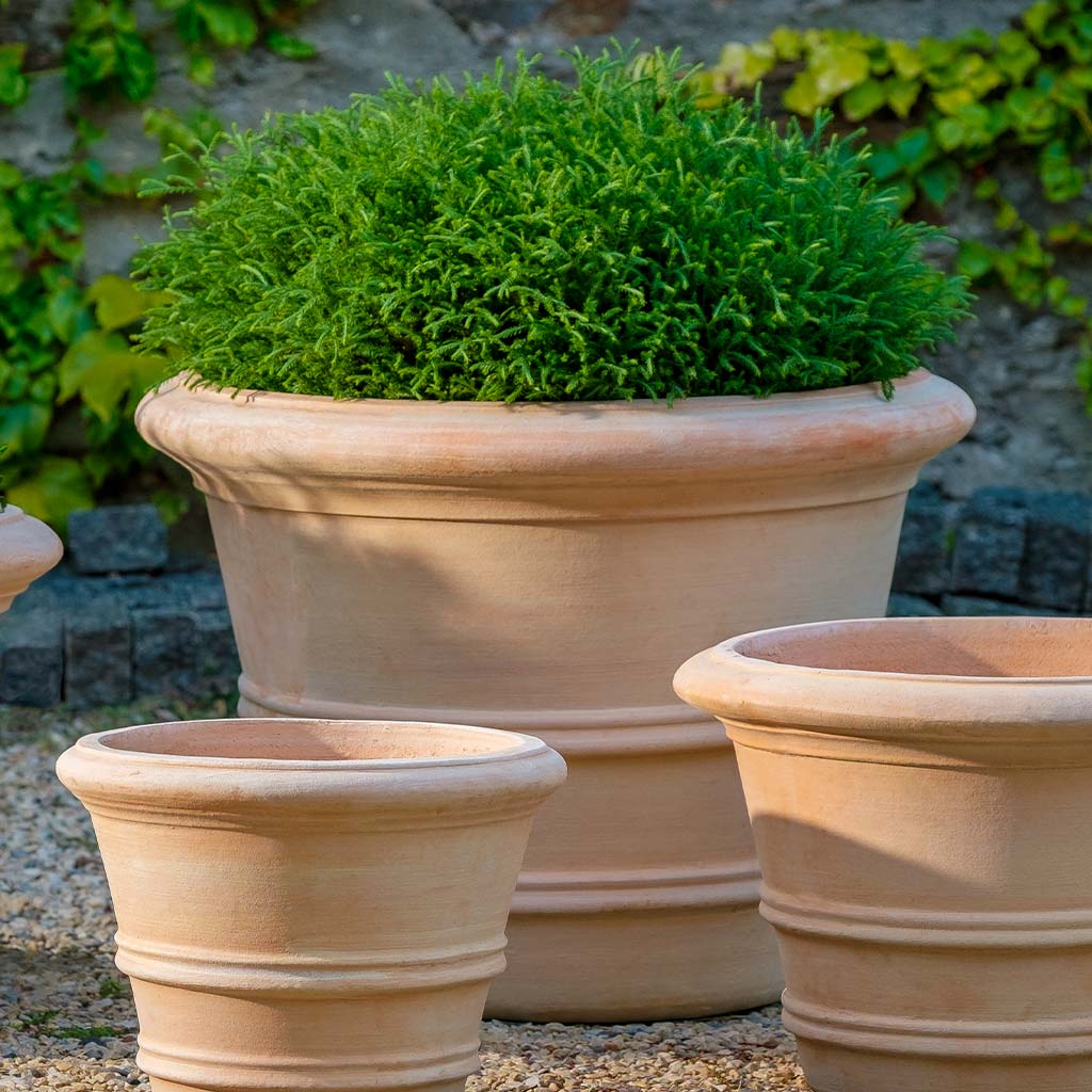 Campania International Classic Double Rolled Rim Planter