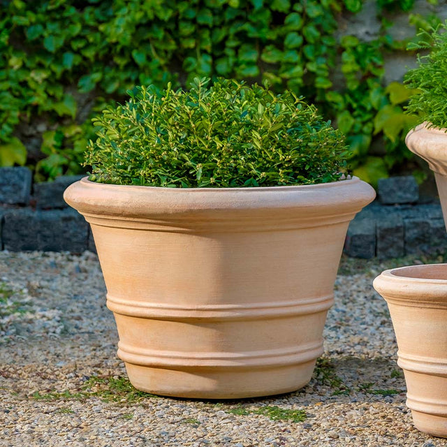 culley terracotta pot planter Classic Double Rolled Rim 18.25" Planter - Terra Cotta