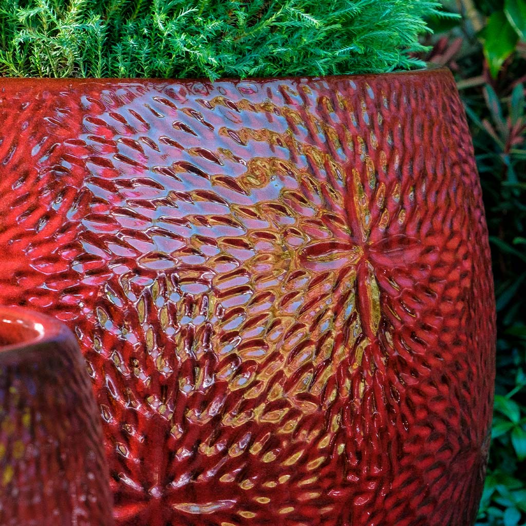 Sand Dollar Planter || Tropic Red