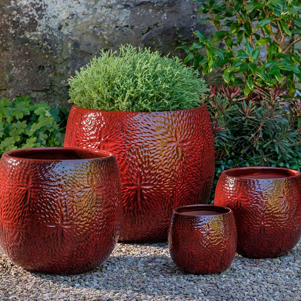 Sand Dollar Planter || Tropic Red