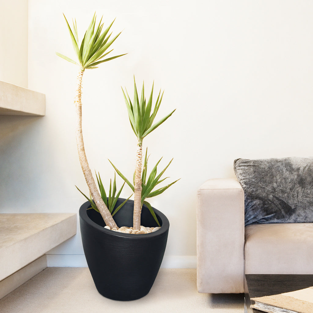 Modesto Round Planter