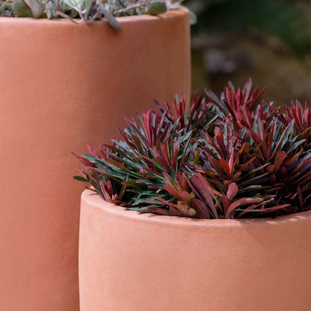 Rioja Planter || Terra Rosa