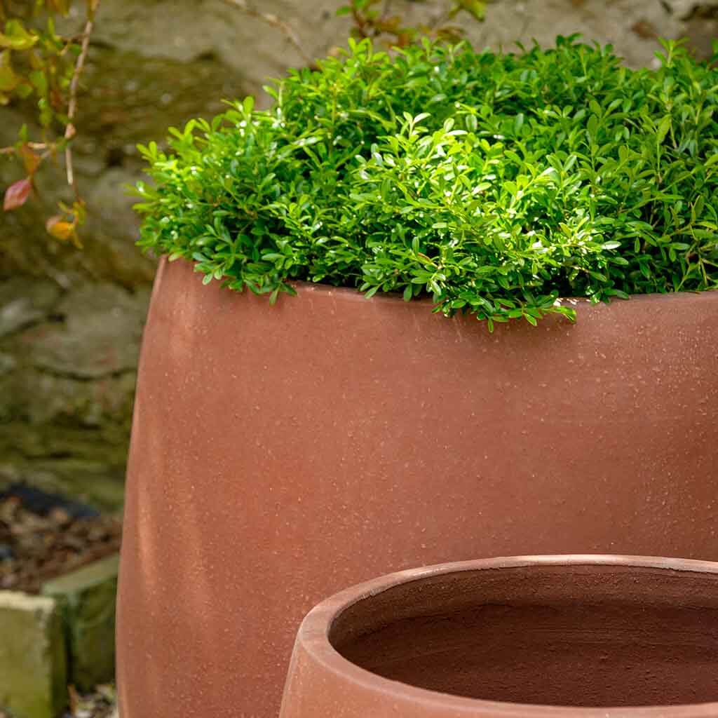 Potrero Planter || Terra Rosa