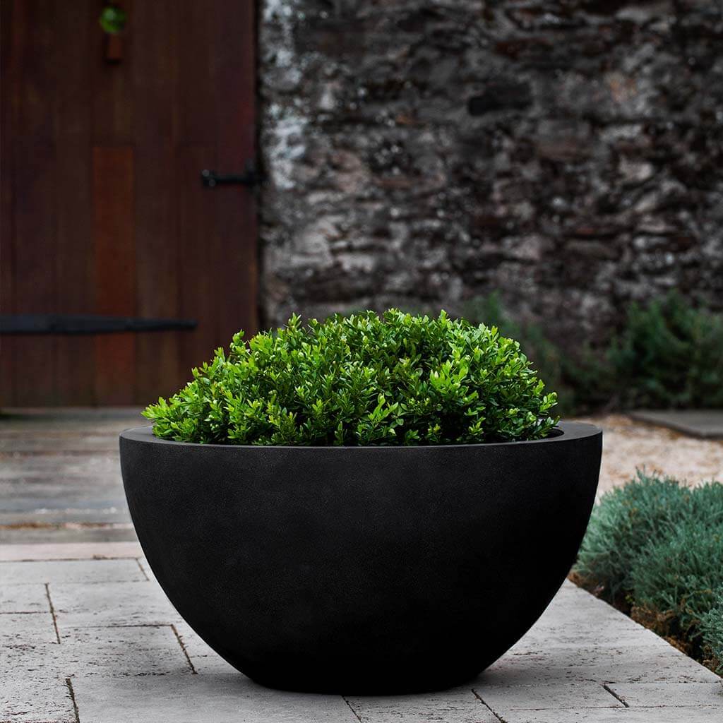 Piccadilly Planter