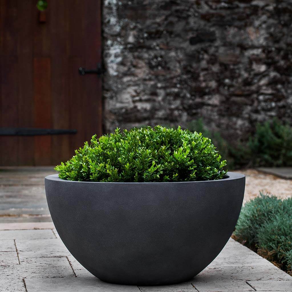 Piccadilly Planter