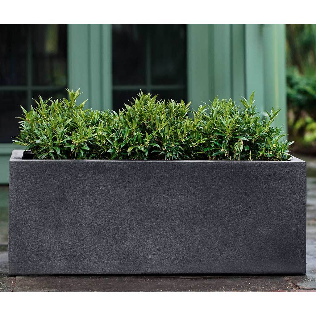 Sandal Planter