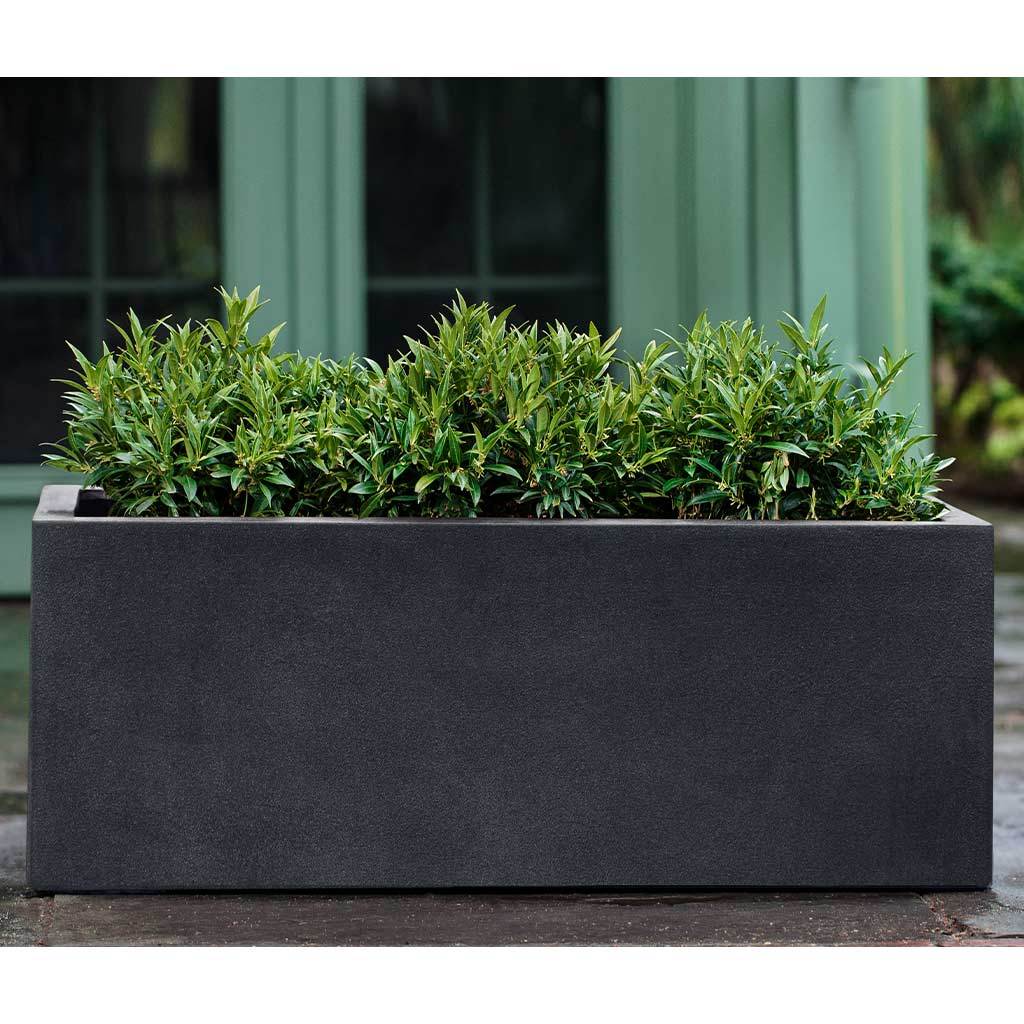 Sandal Planter