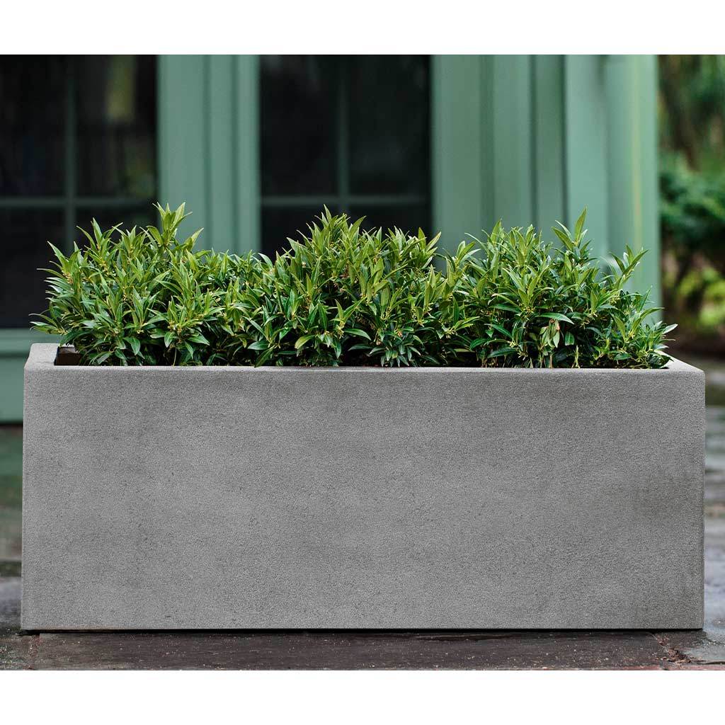 Sandal Planter