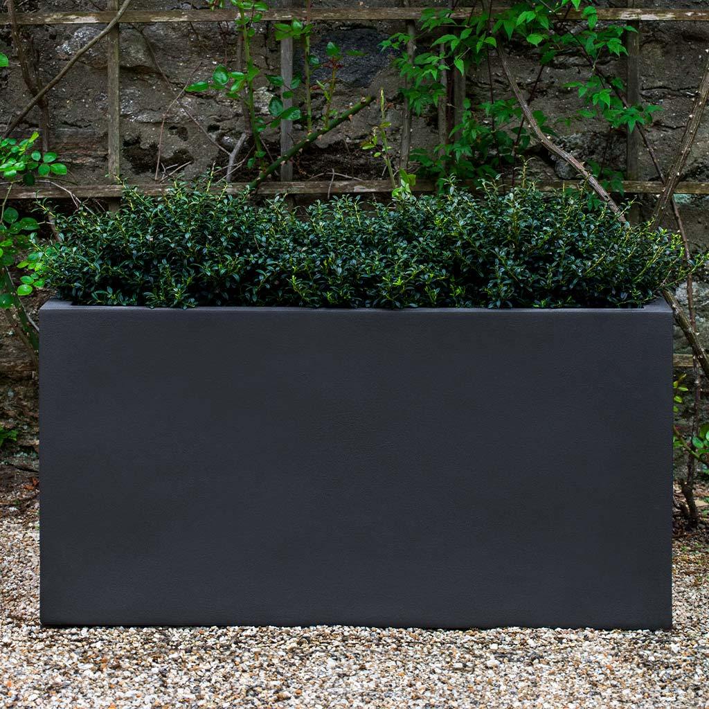 Sandal Planter