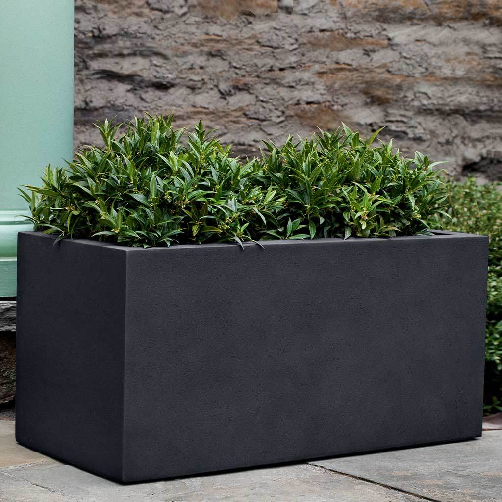 Sandal Planter