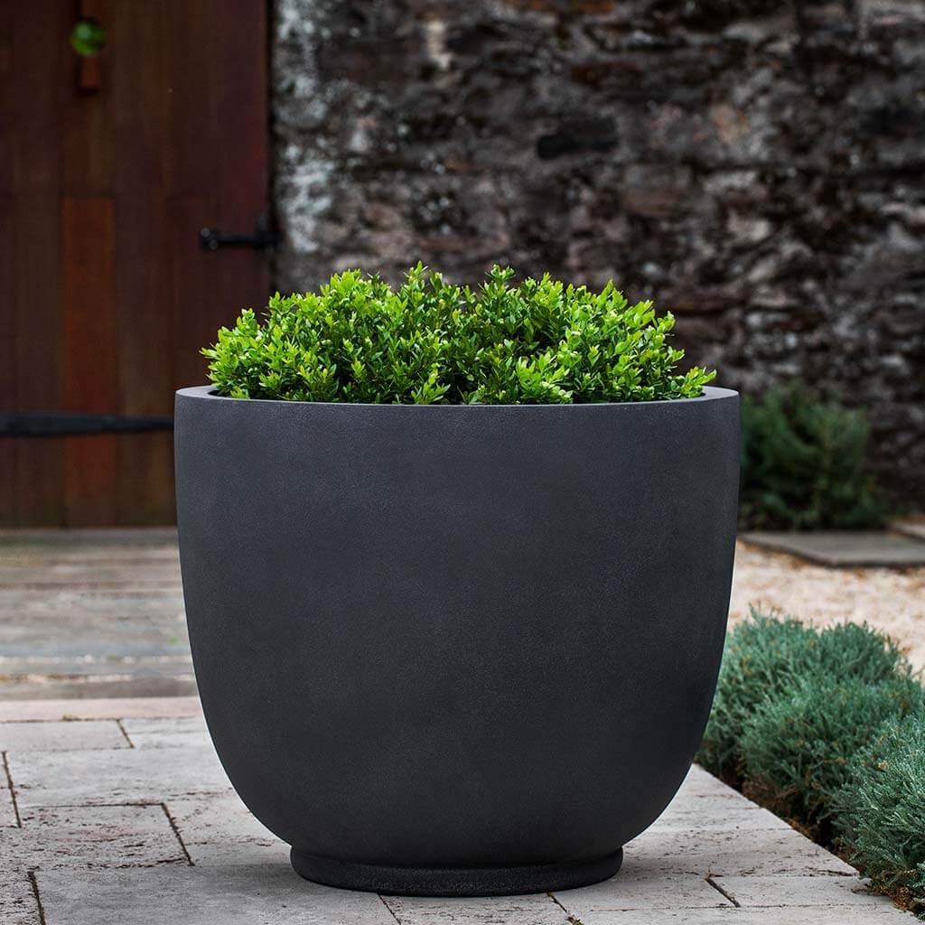 Danilo Planter
