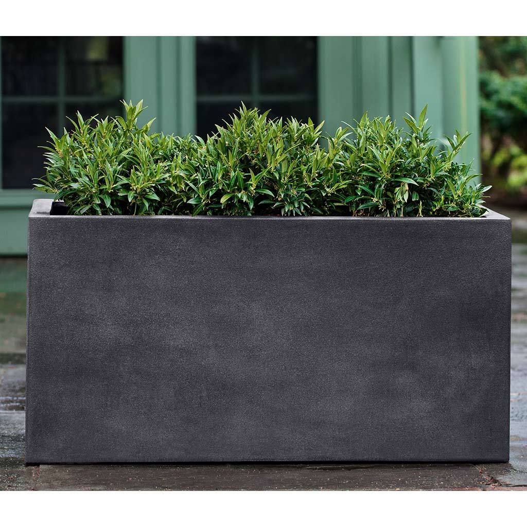 Sandal Planter