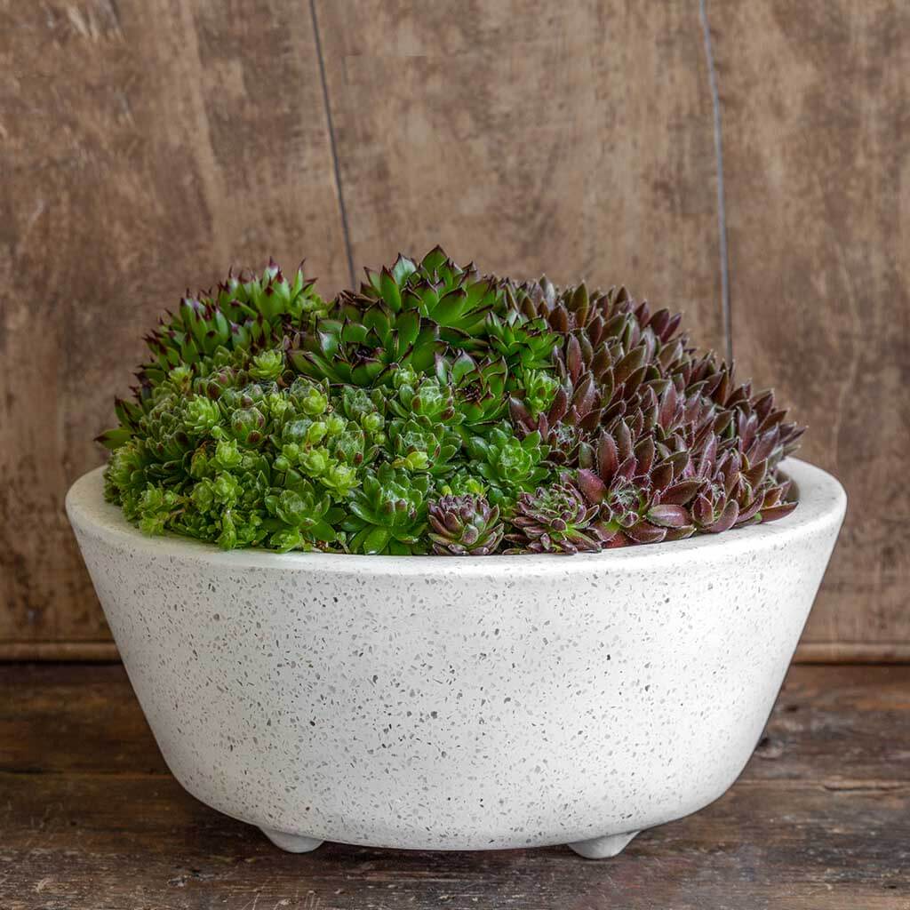 shallow round planter pot Geo Round Footed Planter Campania International