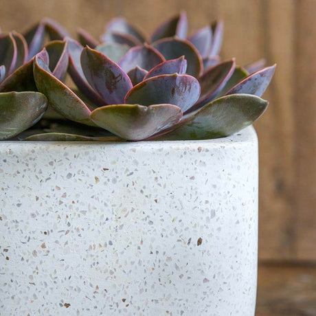Geo Rectangular Footed Planter || Terrazzo White