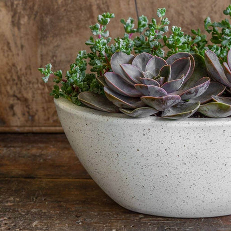 Geo Oval Bowl || Terrazzo White