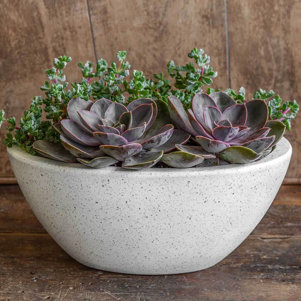 oval succulent planter Campania International | Geo Oval Planter