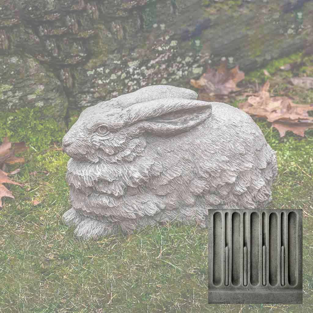 Flemish Hare