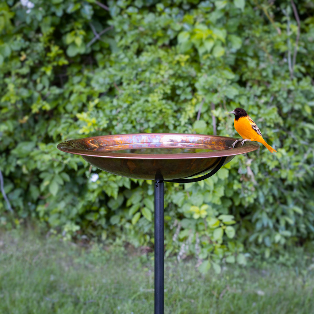 13.5-inch Fired Copper Bird Bath with Garden Pole