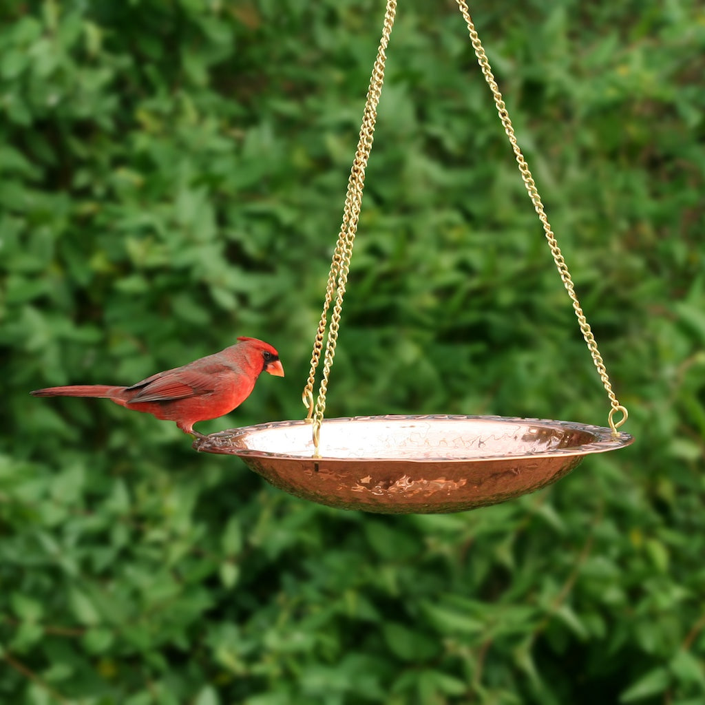 13.5-inch Hanging Copper Bird Bath