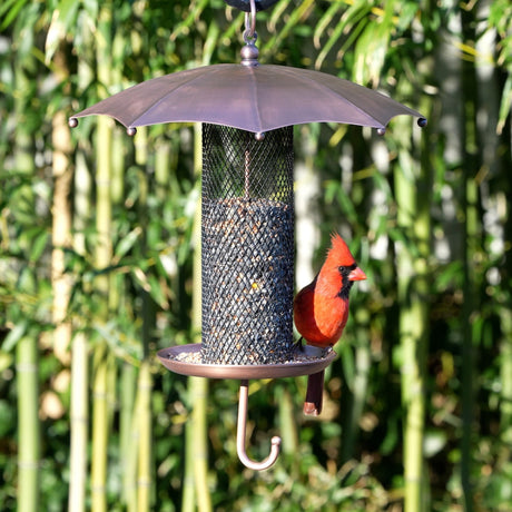 Rainy Day Umbrella Bird Feeder with Mesh