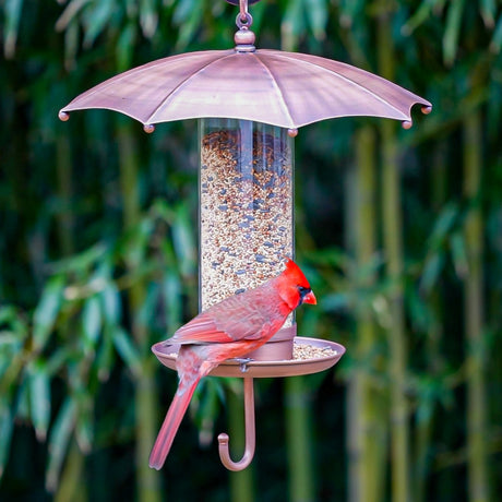 Rainy Day Umbrella Bird Feeder