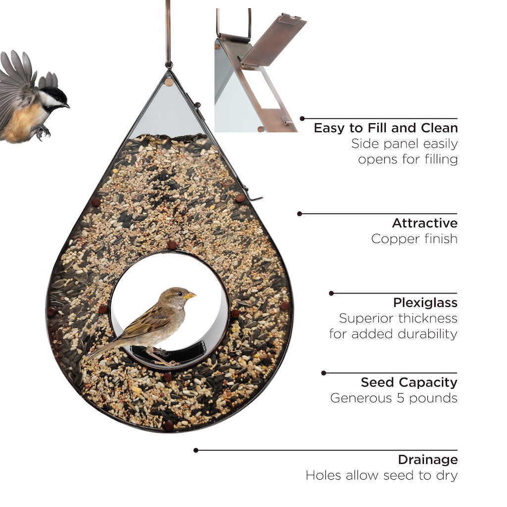 Teardrop Fly-Thru Bird Feeder