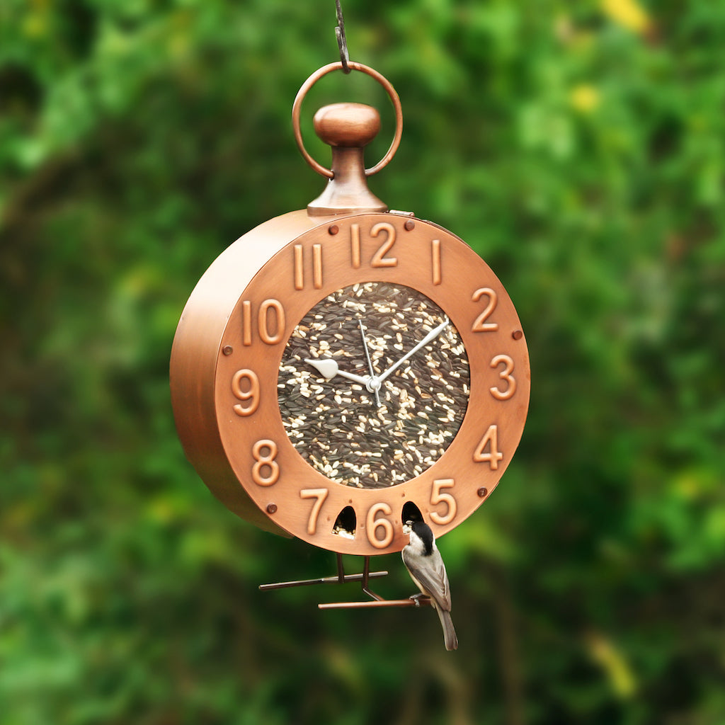Time Fly’s Bird Feeder