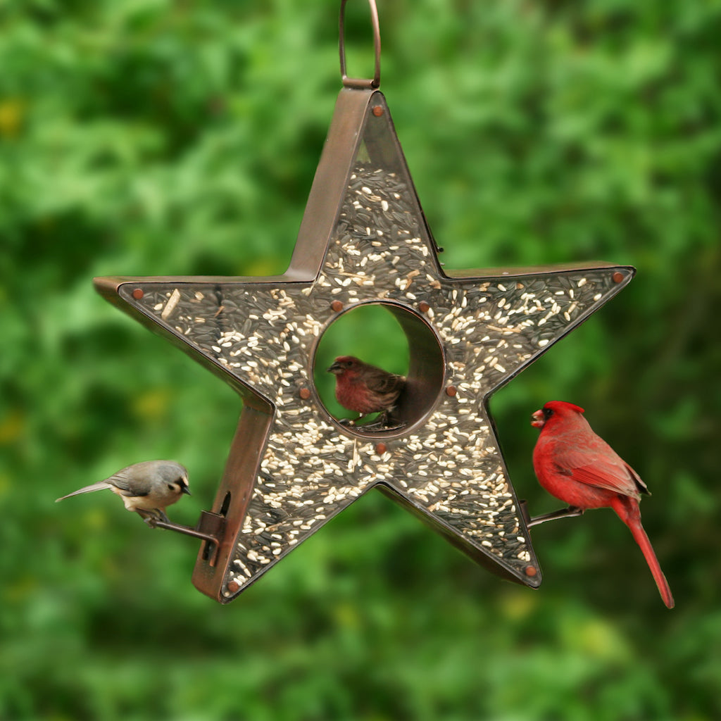 Star Fly-Thru Bird Feeder