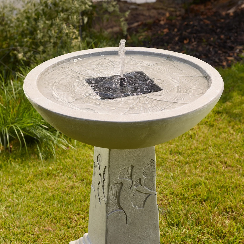 Gingko Birdbath Fountain with Remote in Weathered Stone