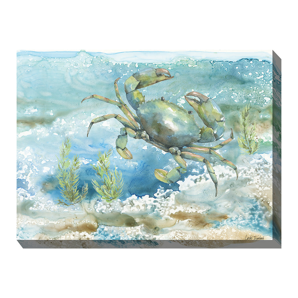 Sea Life Crab Outdoor Wall Art