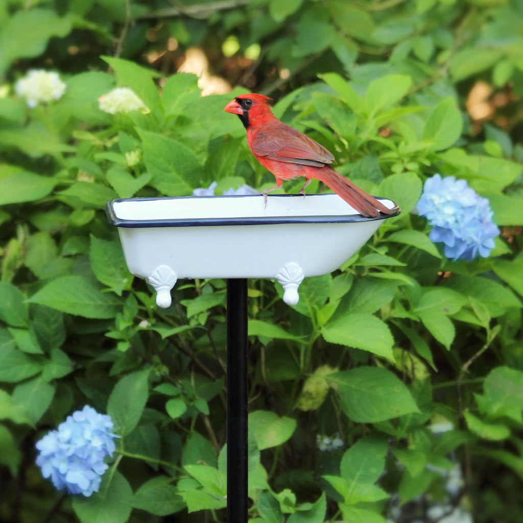 Splish Splash Brass Birdbath