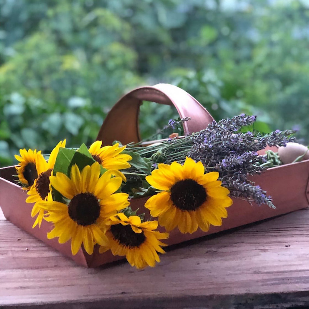 Large Garden Trug Basket