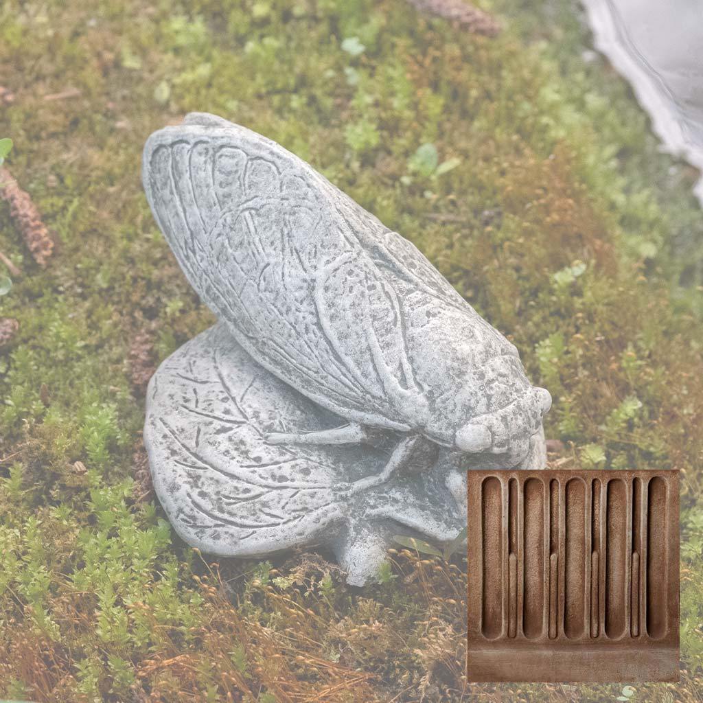Cicada